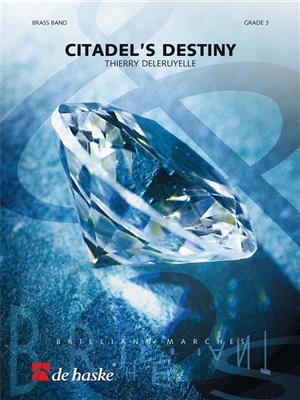Citadel's Destiny